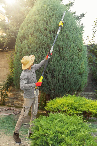 Best Lawn Watering Services  in Pennington Gap, VA